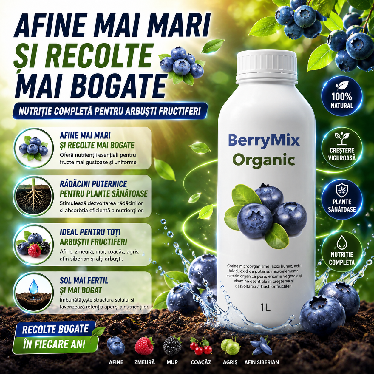 1L Fertilizant Pentru Afine Și Arbuști Fructiferi- BerryMix™